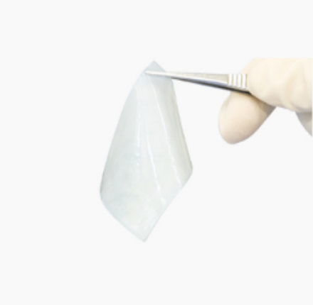 尊龙凯时人生就是搏思® 心外科生物补片
